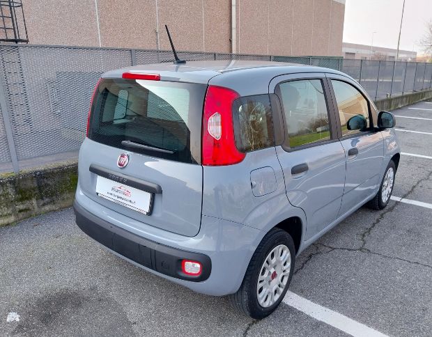 Fiat panda 1.0 hybrid foto 3