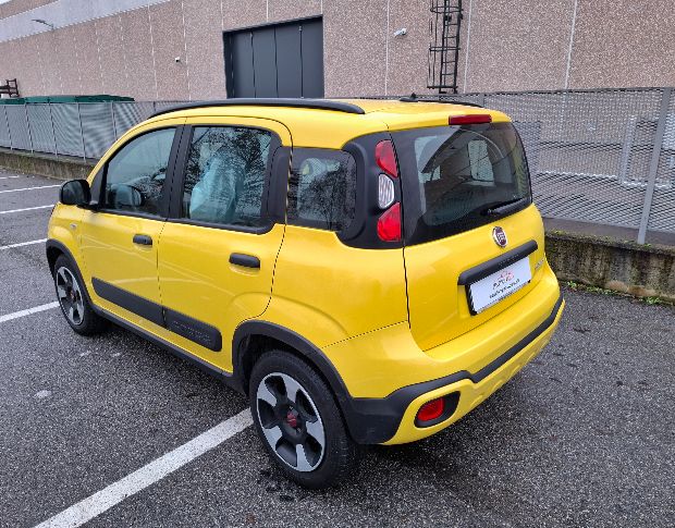 Fiat panda cross foto 4
