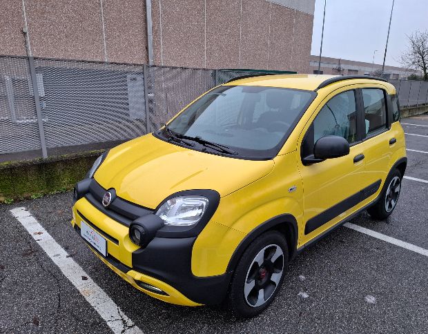 Fiat panda cross foto 3